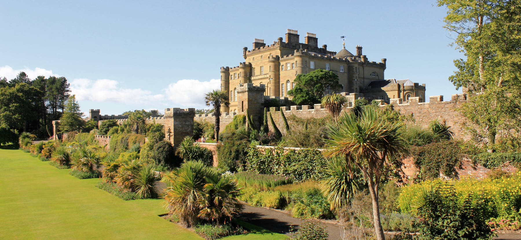 Culzean Castle seen from its terraced gardens with palm trees in the foreground